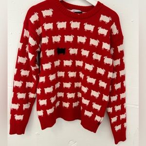 WARM AND WONDERFUL BLACK SHEEP SWEATER